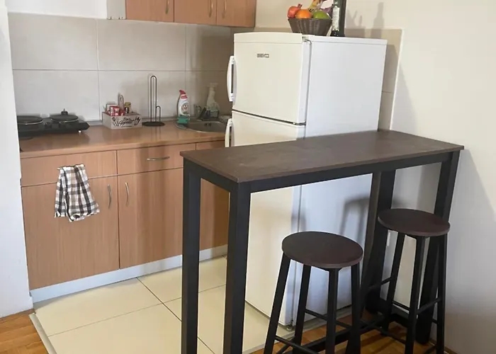 Stancek 노비사드