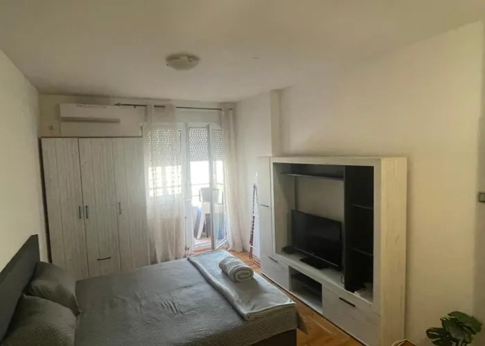 Stancek * 노비사드